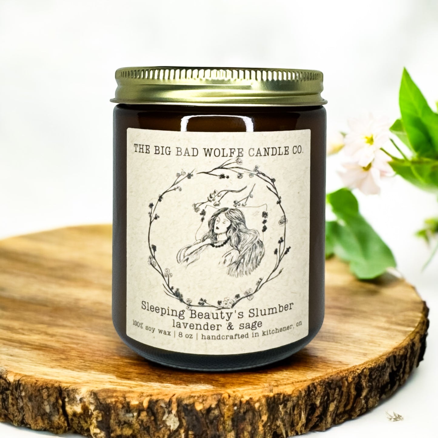 Sleeping Beauty’s Slumber